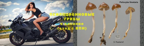 синтетический гашиш Каменка