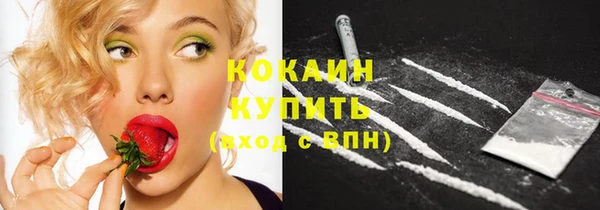 гашик Каменногорск