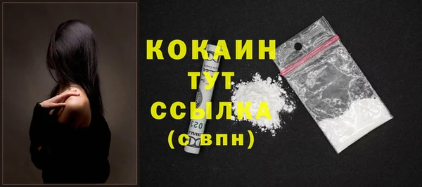 гашик Каменногорск