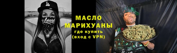 шишки Инта