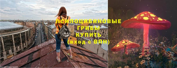 гашик Каменногорск
