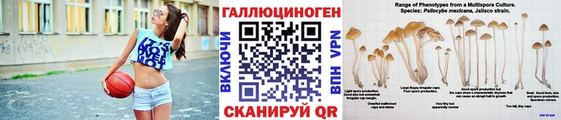 Псилоцибиновые грибы GOLDEN TEACHER  Купить  Каневская 
